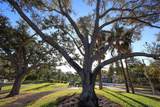 255 The Esplanade - Photo 63