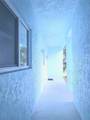 2801 Magdalina Drive - Photo 12