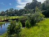 12919 Broleman Road - Photo 15