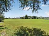 10420 Lucaya Drive - Photo 40