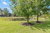 12161 Trailhead Drive - Photo 45