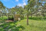 7405 Williams Road - Photo 61