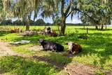 951 State Road 64 - Photo 40