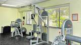 740 White Pine Tree Road - Photo 43
