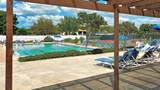 740 White Pine Tree Road - Photo 44