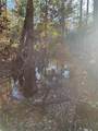 49 Fenny Bosk Trail - Photo 17