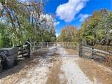 15210 Rough Diamond Ranch Road - Photo 2