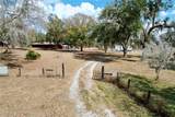 15210 Rough Diamond Ranch Road - Photo 29