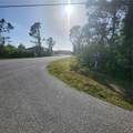 12282 Appleberg Circle - Photo 17