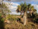 50670 Bermont Road - Photo 14