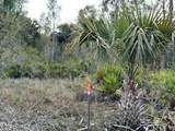 50530 Bermont Road - Photo 15
