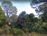 Lot 2 165TH Avenue - Photo 4