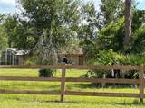 17951 Wild Pepper Court - Photo 2