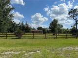 17951 Wild Pepper Court - Photo 3