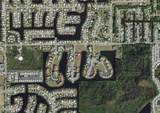 3234 Wood Thrush Drive - Photo 3