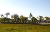 6418 Kilohee Court - Photo 11