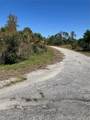  Bignay Road - Photo 4