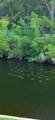 1354 Rock Dove Ct - Photo 47