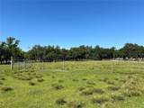  Sw Hwy 17 - Photo 2
