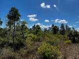 50318 Bermont Road - Photo 11