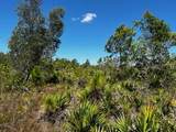 50318 Bermont Road - Photo 13
