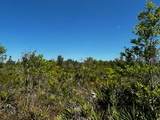 50318 Bermont Road - Photo 14
