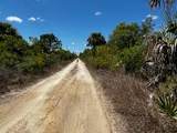 50318 Bermont Road - Photo 5