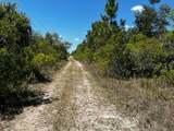 50318 Bermont Road - Photo 8