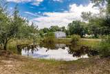 5246 Swaying Palm Drive - Photo 43