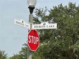 2140 Heron Lake Drive - Photo 5