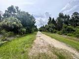 12593 Gucci Drive - Photo 2