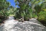 27374 San Carlos Drive - Photo 11