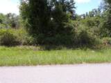 36 Vine Circle - Photo 5