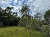 28358 Seal Court - Photo 10