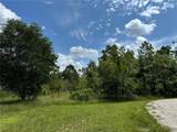 28358 Seal Court - Photo 7