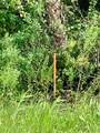 26373 & 26377 Deer Road - Photo 11