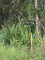 26373 & 26377 Deer Road - Photo 12