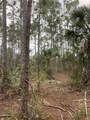 26373 & 26377 Deer Road - Photo 14