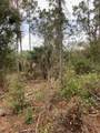 26373 & 26377 Deer Road - Photo 15