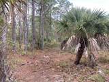 26373 & 26377 Deer Road - Photo 16