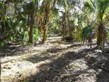 152 Tall Oak Trail - Photo 9