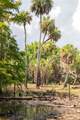  Addison Avenue - Photo 9