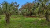 25405 Shore Drive - Photo 6