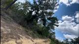 lot 25 Birch Avenue - Photo 3