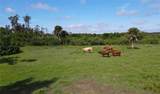 3395 Duncan Road - Photo 36