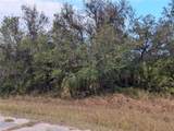 Lot 13 Mattox Circle - Photo 6