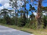 12438 Deepwoods Avenue - Photo 4