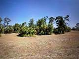 373 Albatross Road - Photo 6