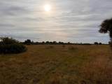 47511 Neal Road - Photo 14
