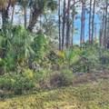 15122 Carousel Lane - Photo 8